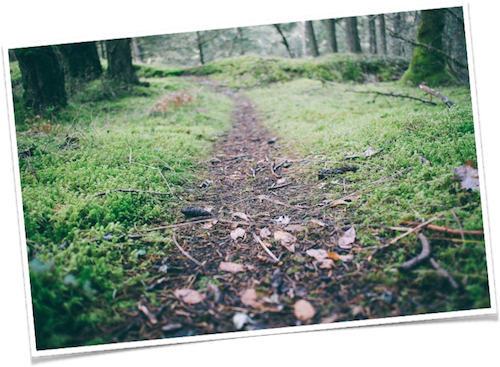 Photo Watermark Removed