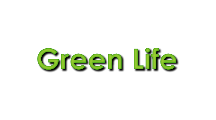 Green Life Beispiel
